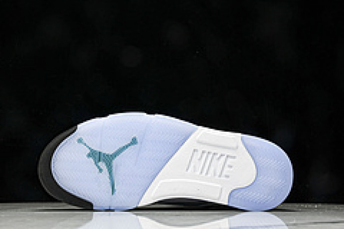 (2025) Jordan 5 Retro Grape HQ7978-100